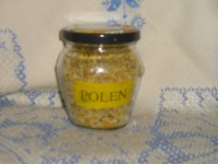 /album/fotogaleria-inicio/p1010300-jpg/